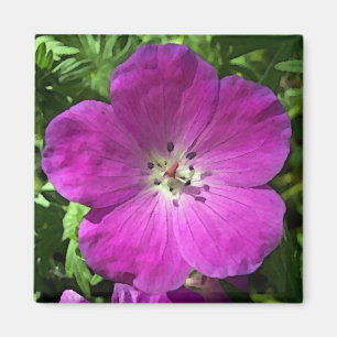 Poppin roze magneet