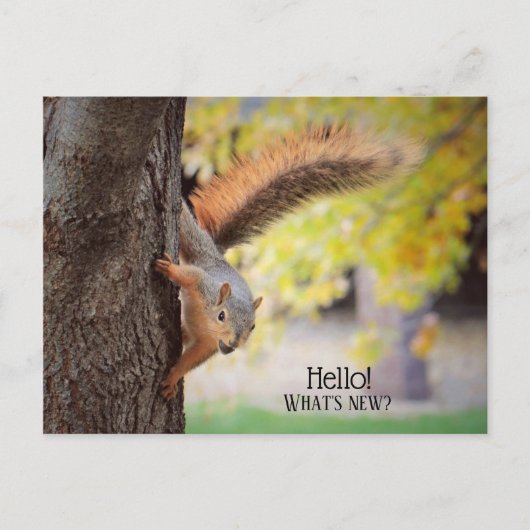 Popping in om Hallo Briefkaart te zeggen (Voorkant)