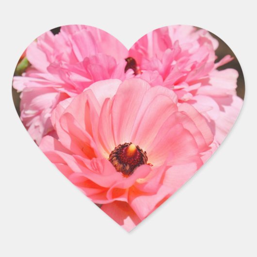 Popping in Pink  Hart Sticker (Voorkant)