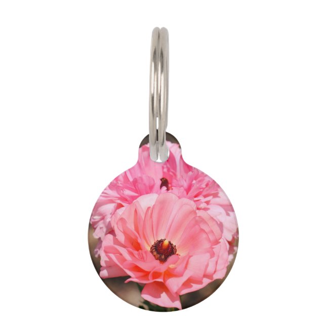 Popping in roze huisdierpenning (Voorkant)