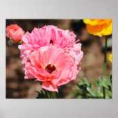 Popping in roze poster (Voorkant)