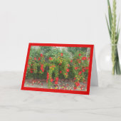 Popping Red Blooms: het lied van de zon. 4:1-Wensk Kaart (Voorkant)