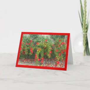 Popping Red Blooms: het lied van de zon. 8:7 Wensk Kaart