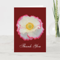 Poppy 105 ~ kaart