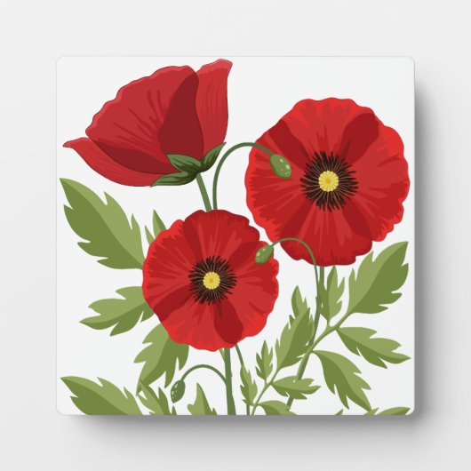 Poppy bloeiende vrolijke zomerbloemen fotoplaat (Voorkant)