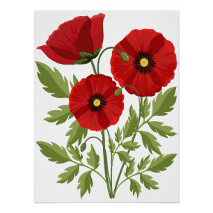 Poppy bloeiende vrolijke zomerbloemen perfect poster