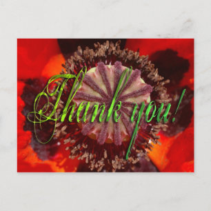 Poppy Blossom - Dank u wel Briefkaart