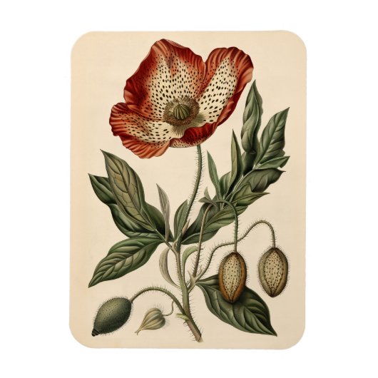 Poppy Botanische Illustratie Flexibel Magneet (Verticaal)