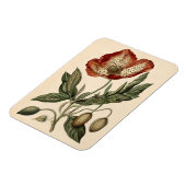 Poppy Botanische Illustratie Flexibel Magneet (Linkerzijde)