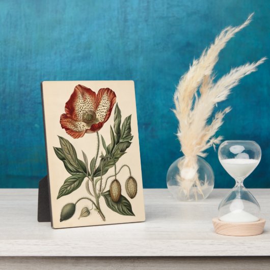 Poppy Botanische Illustratie Fotoplaat (Zijkant)
