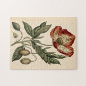  Poppy Botanische Illustratie Legpuzzel (Horizontaal)