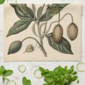 Poppy Botanische Illustratie Theedoek (Gevouwen)