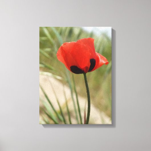 Poppy Canvas Wall afdrukken (Voorkant)