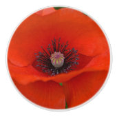 Poppy Ceramic Knob. Keramische Knop (Voorkant)