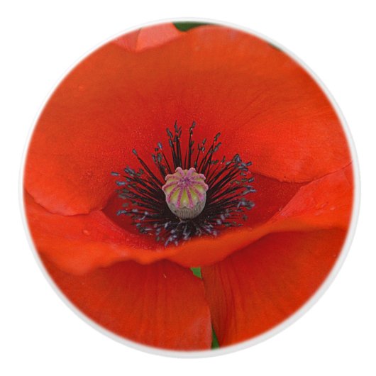 Poppy Ceramic Knob. Keramische Knop (Voorkant)