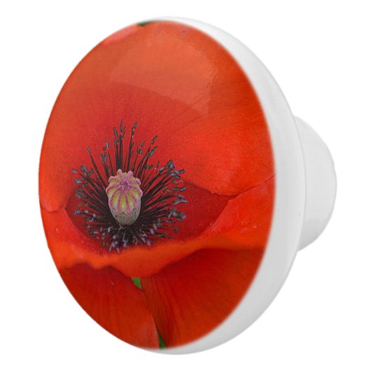 Poppy Ceramic Knob. Keramische Knop (Rechts)