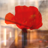 POPPY Collectie 06 Square 12 x 12 inch WC Raamsticker (Vel 2)