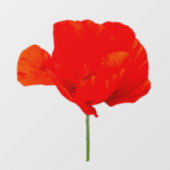 POPPY Collectie 06 Square 12 x 12 inch WC Raamsticker (Vel)