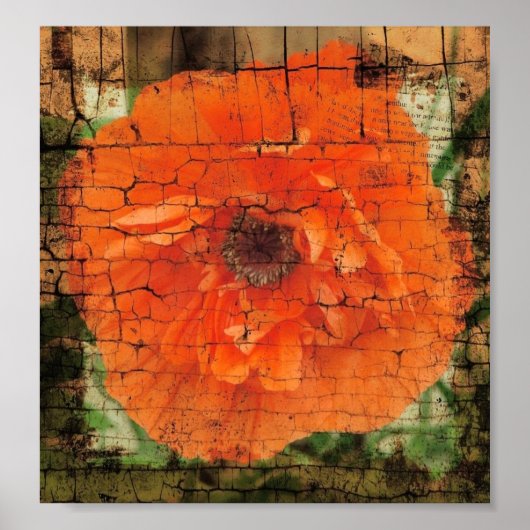 Poppy Crackle Poster (Voorkant)