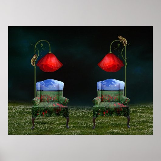 Poppy Dreams & Chameleon Schemes Poster (Voorkant)