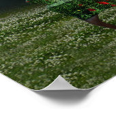 Poppy Dreams & Chameleon Schemes Poster (Hoek)