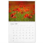 Poppy Dreams Kalender (Jan 2027)