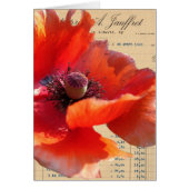 Poppy en Ephemera Digital Art (Voorkant)