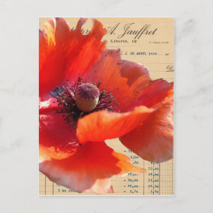Poppy en Ephemera Digital Art Briefkaart