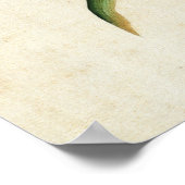 Poppy en vlinderbloem Fine Art Poster (Hoek)