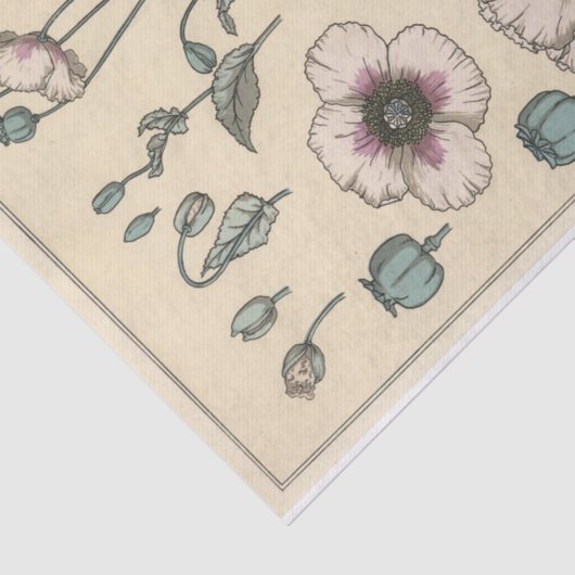 Poppy, Eugene Grasset's Botany-serie Tissuepapier (Detail)