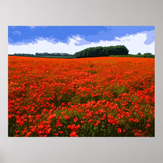 POPPY FIELD 3 POSTER (Voorkant)