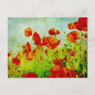 Poppy Field Briefkaart