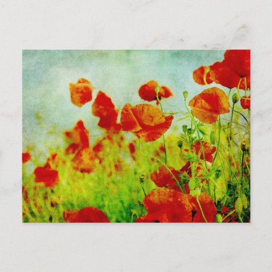 Poppy Field Briefkaart (Voorkant)