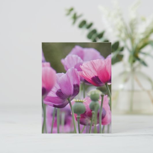 Poppy Field Briefkaart (Staand voorkant)