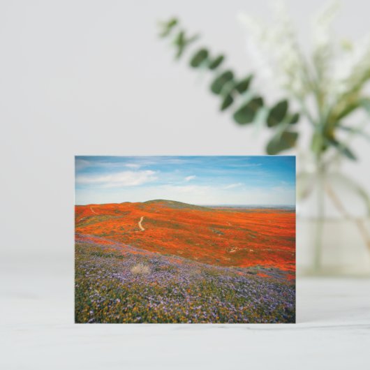 Poppy Field Briefkaart (Staand voorkant)