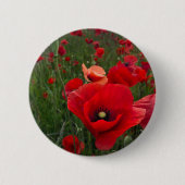 Poppy Field Button Badge (Voorkant)