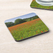 Poppy field, Chiusi, Italië Bier Onderzetter (Linkerzijde)