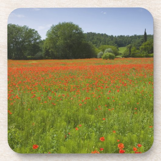 Poppy field, Chiusi, Italië Bier Onderzetter (Voorkant)