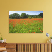 Poppy field, Chiusi, Italië Canvas Afdruk (Insitu (Woonkamer))