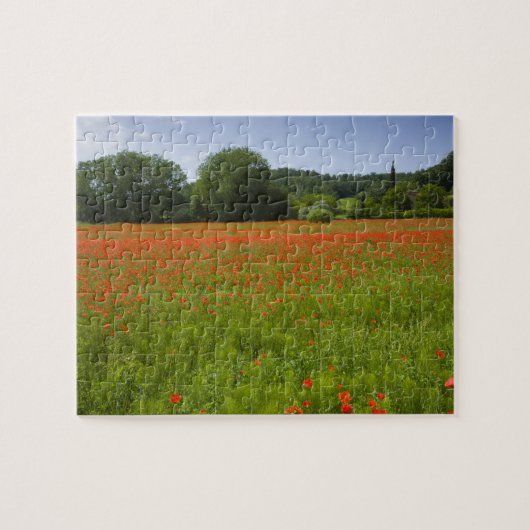 Poppy field, Chiusi, Italië Legpuzzel (Horizontaal)