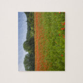Poppy field, Chiusi, Italië Legpuzzel (Verticaal)