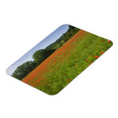 Poppy field, Chiusi, Italië Magneet (Linkerzijde)
