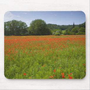 Poppy field, Chiusi, Italië Muismat