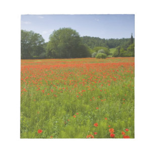 Poppy field, Chiusi, Italië Notitieblok