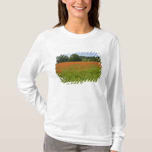 Poppy field, Chiusi, Italië T-shirt