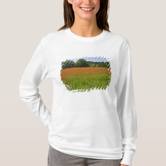 Poppy field, Chiusi, Italië T-shirt (Voorkant)