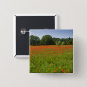 Poppy field, Chiusi, Italië Vierkante Button 5,1 Cm (Voorkant /achterkant)