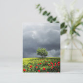 Poppy Field en Cloudy Sky Briefkaart (Staand voorkant)