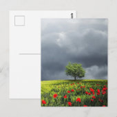 Poppy Field en Cloudy Sky Briefkaart (Voorkant / Achterkant)