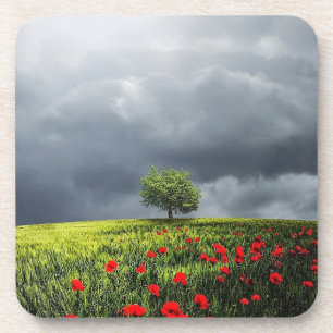 Poppy Field en Cloudy Sky Drankjes Onderzetter